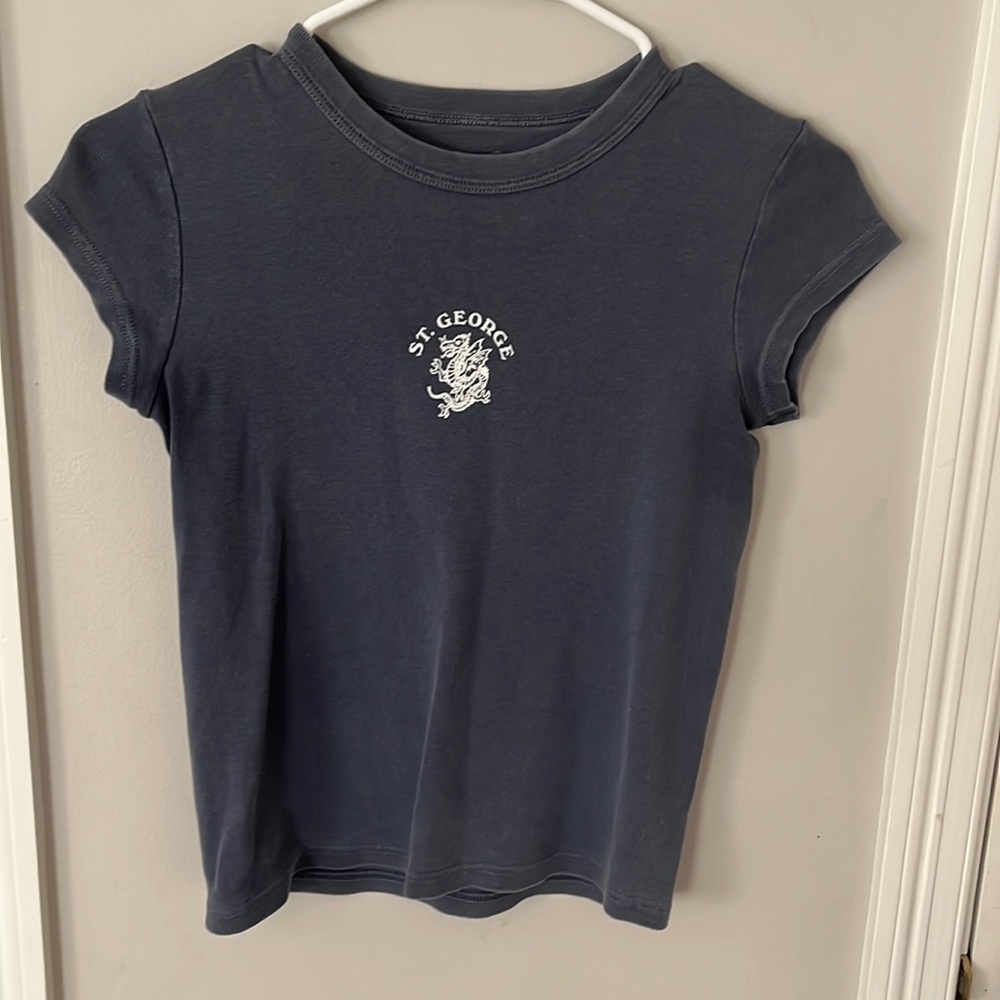 blue brandy Melville short sleeve top